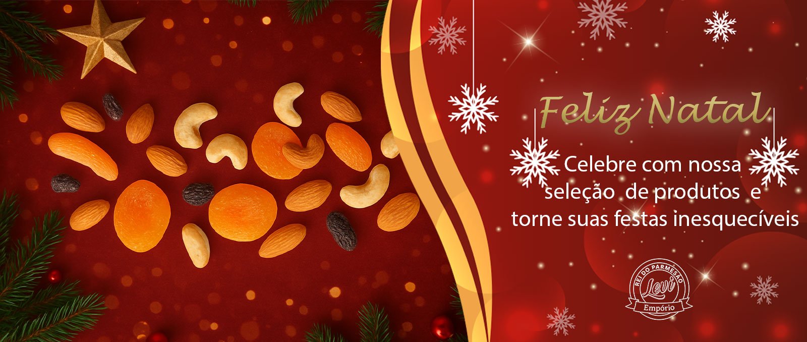 Banner-natale—frutas-secas
