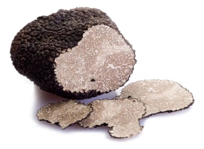 AZEITE COM TRUFAS PRETAS SAVITAR TUBO 100ML - Imagem 2