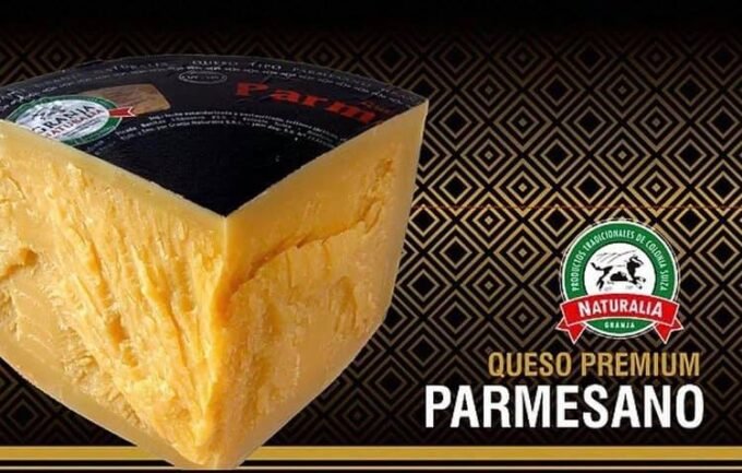 QUEIJO PARMESÃO URUGUAIO PREMIUM GRANJA NATURALIA - Imagem 6